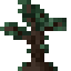 Darkwood Sapling