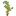 Lost Palmwood Sapling